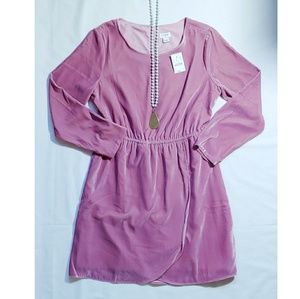 J CREW · Rose Velvet Dress · Sizes 8 & 14